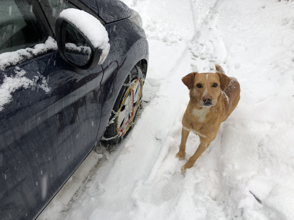 Snow chains