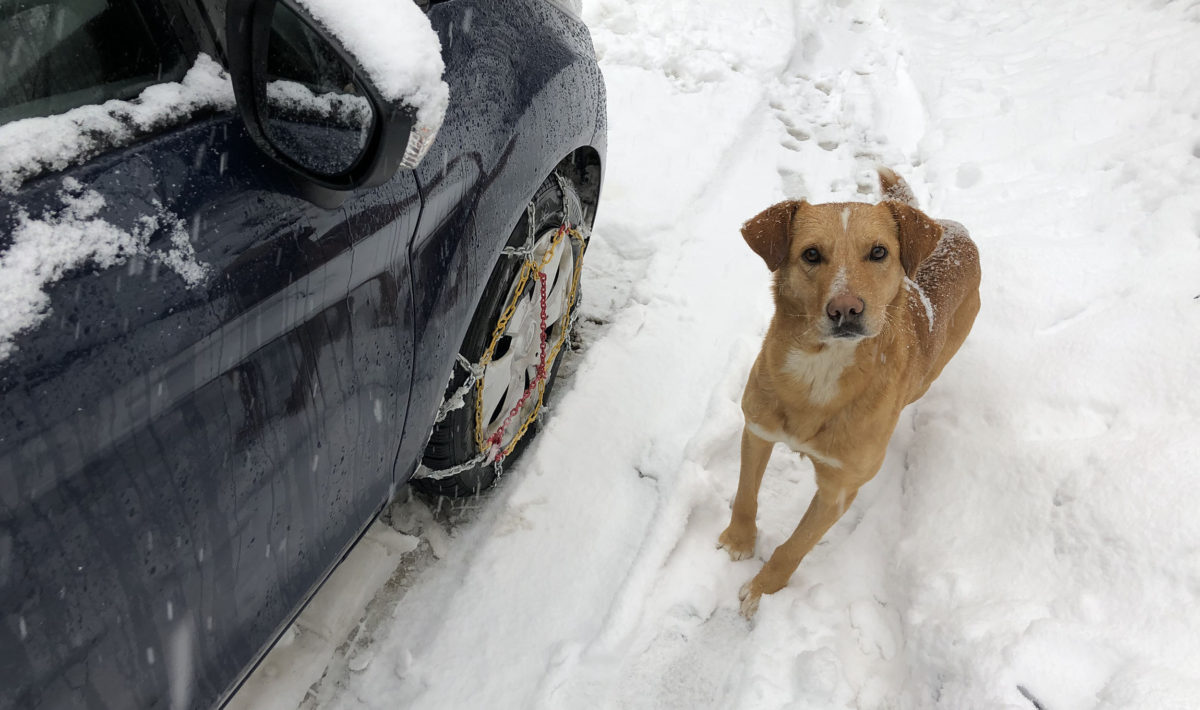 Snow chains