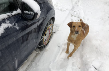 Snow chains